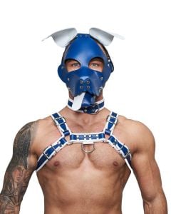 Mister B Leather Floppy Dog Hood Circuit – Blue-White