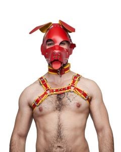 Mister B Leather Circuit Floppy Dog Hood – Red Yellow