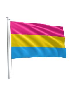 Pansexual Flag 90 x 150 cm