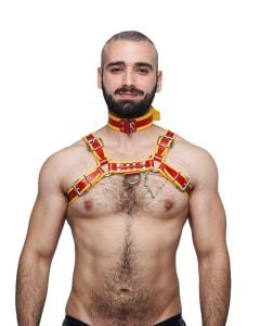 Mister B Leather Circuit Collar Red-Yellow
