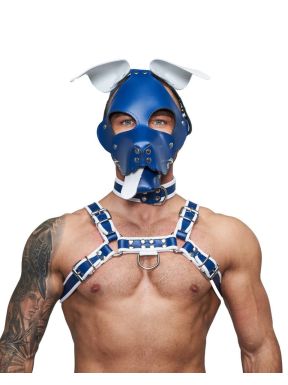 Mister B Leather Floppy Dog Hood Circuit – Blue-White