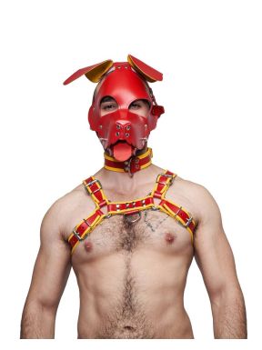 Mister B Leather Circuit Floppy Dog Hood – Red Yellow